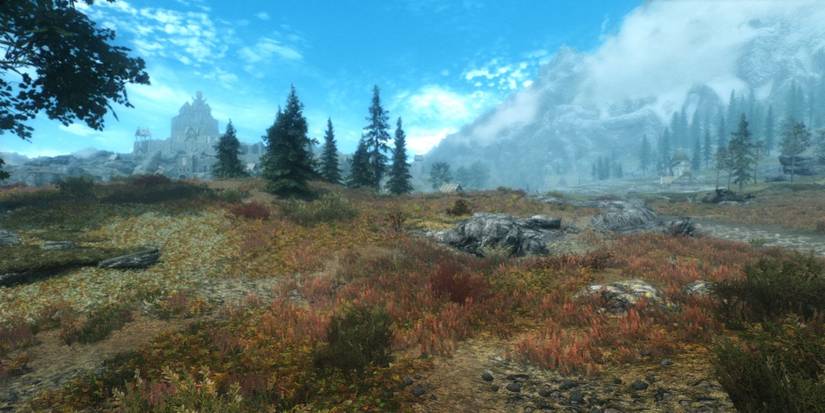 Skyrim Flora Overhaul