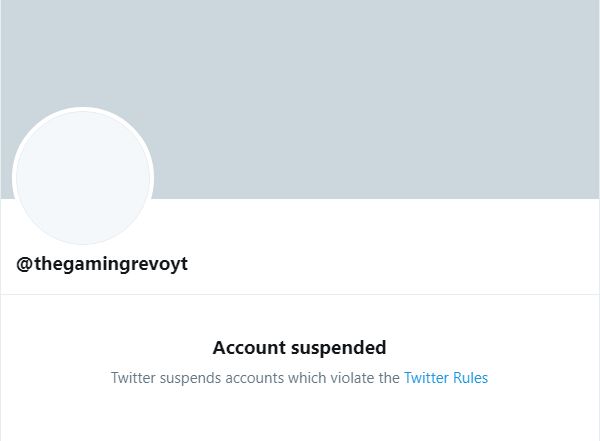 thegamingrevoyt twitter suspended