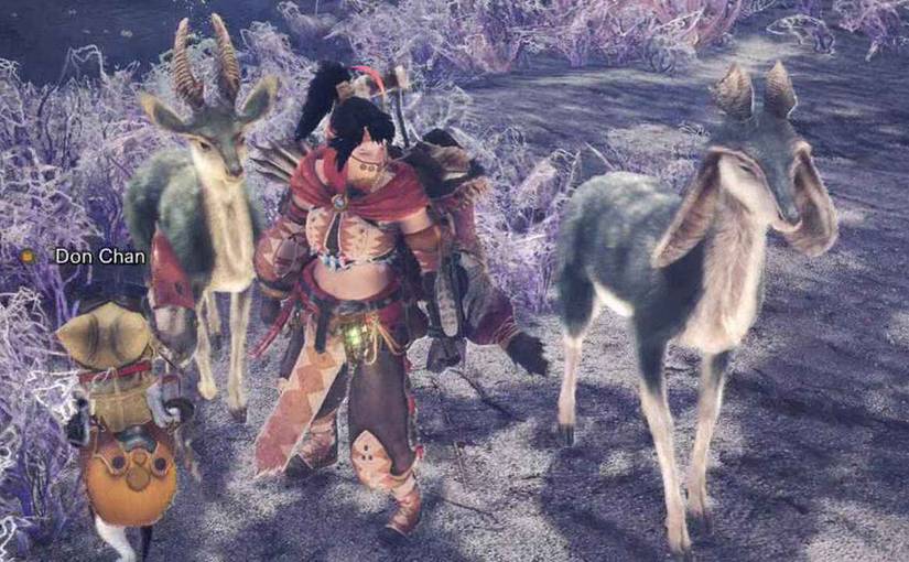 Kelbi from Monster Hunter next to a human