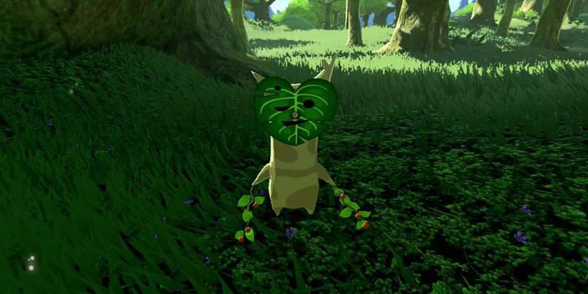 Korok Forest Zelda BOTW