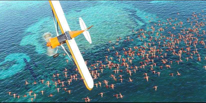 small plane flying over blue.