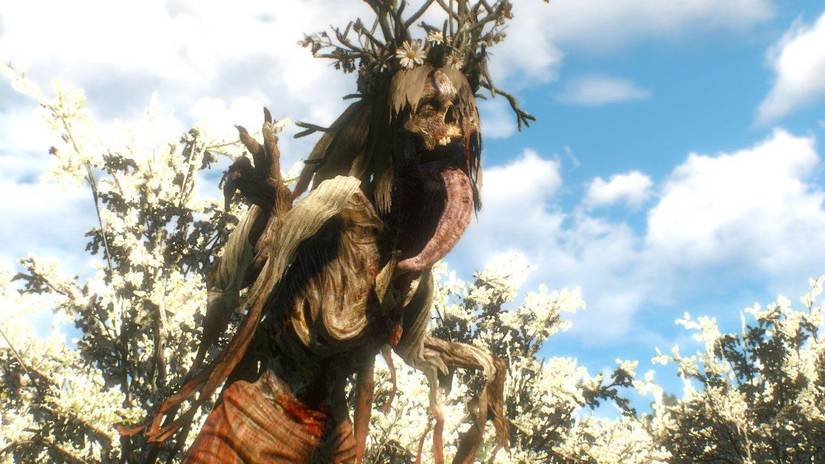 noonwraith witcher 3