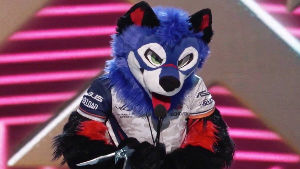 new things for sonic fox