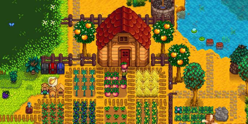stardew valley farm