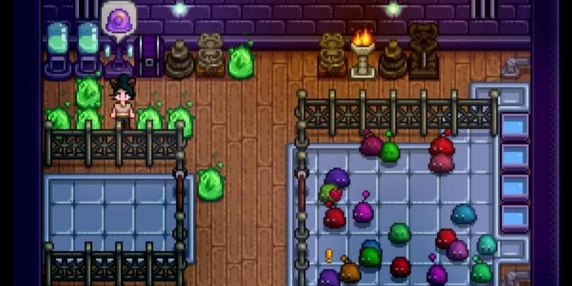 stardew valley slime hutch
