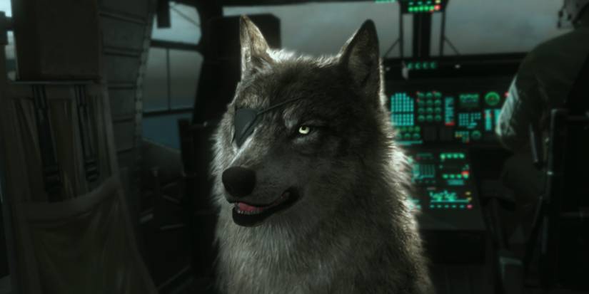 video_game_dogs_-_d-dog_metal_gear_solid_v