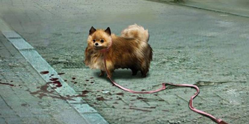 welcome-to-the-jungle-part-1-tokyo-jungle-field-notes (1)