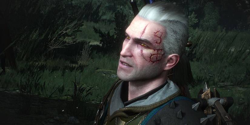 witcher 3 heart of stone