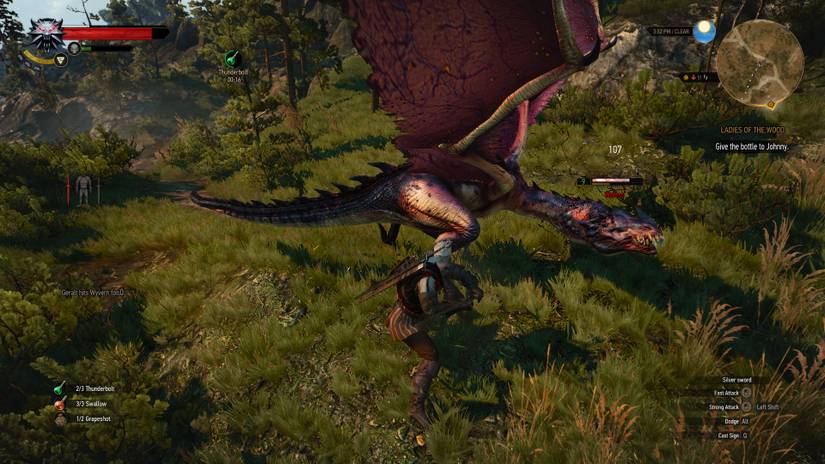 witcher 3 wyvern fight