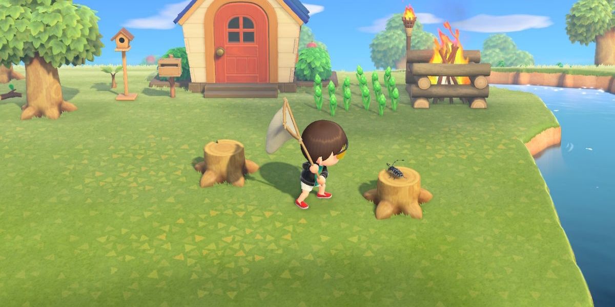Animal Crossing New Horizons Player catching bug