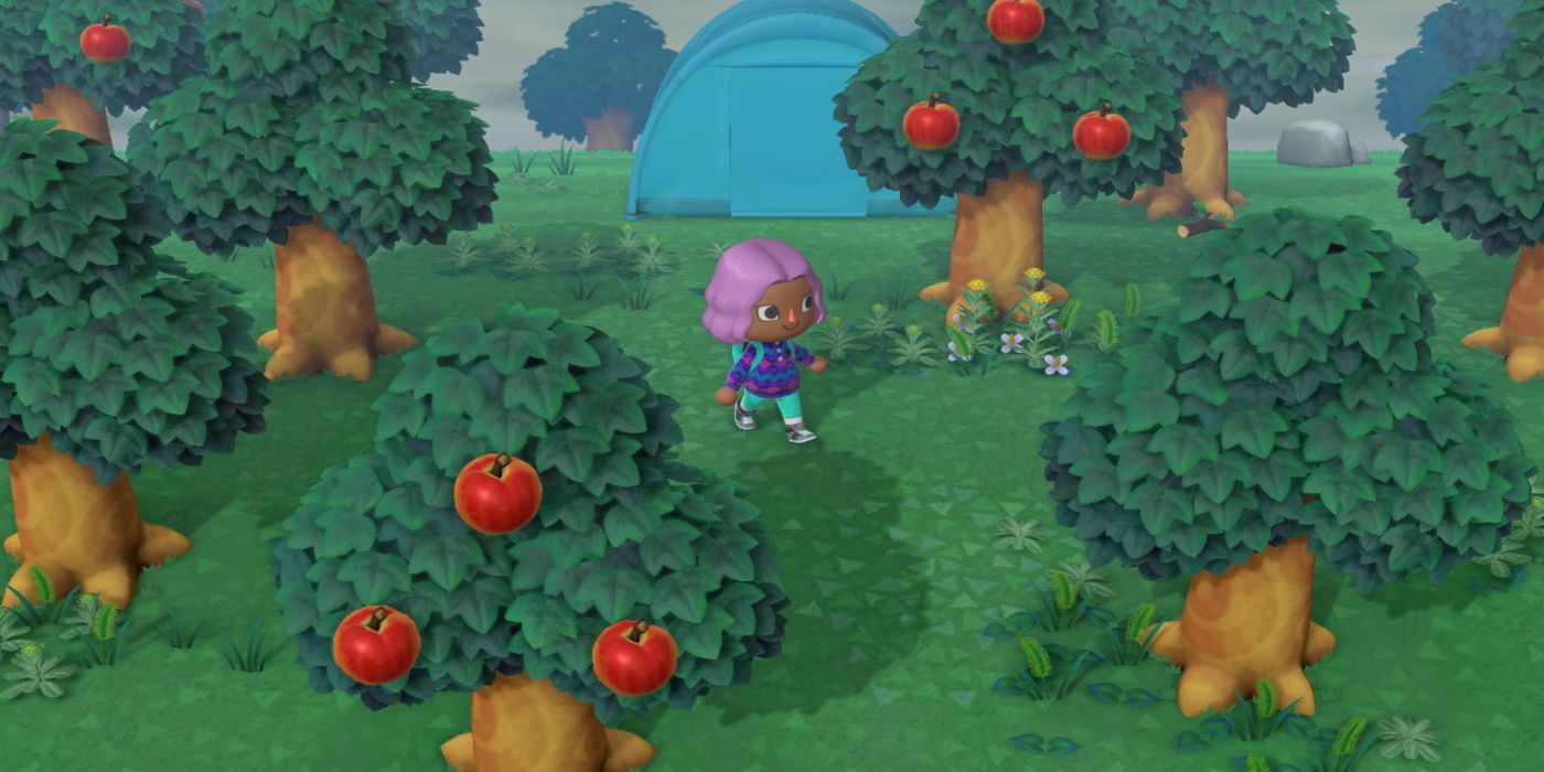 Animal Crossing Apples