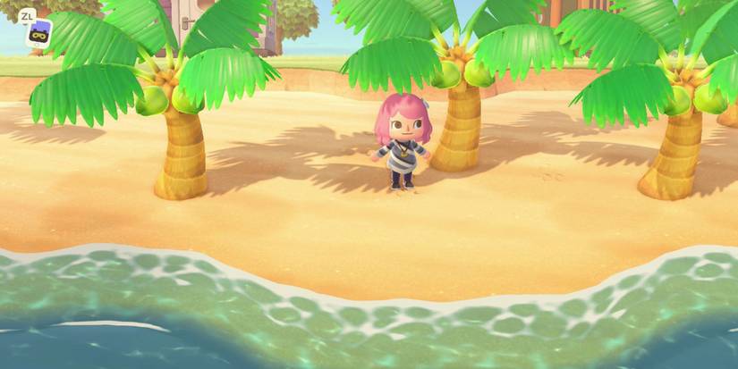 Animal Crossing Coconuts