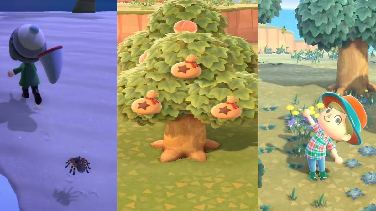 Animal Crossing Earn Bells Fast