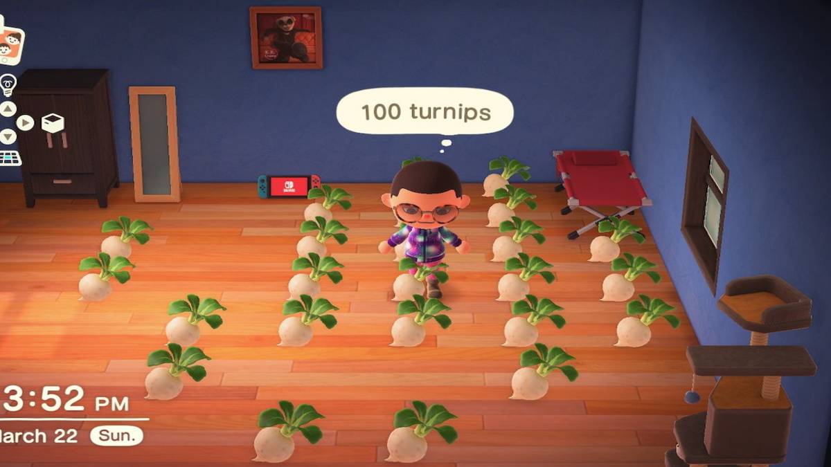 Animal Crossing New Horizons