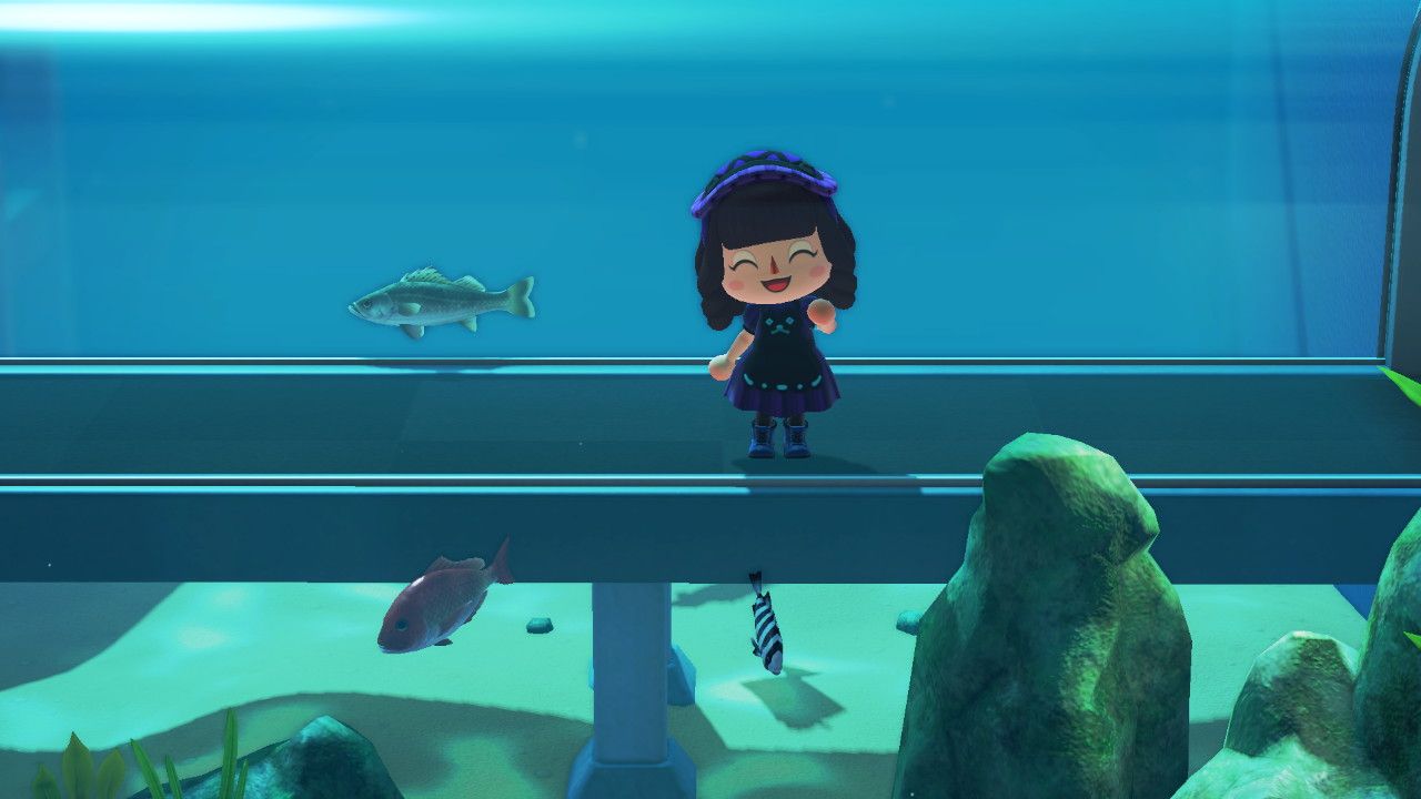 Animal Crossing: New Horizons - How to Use Fish Bait