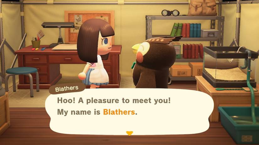 Animal Crossing New Horizons Blathers