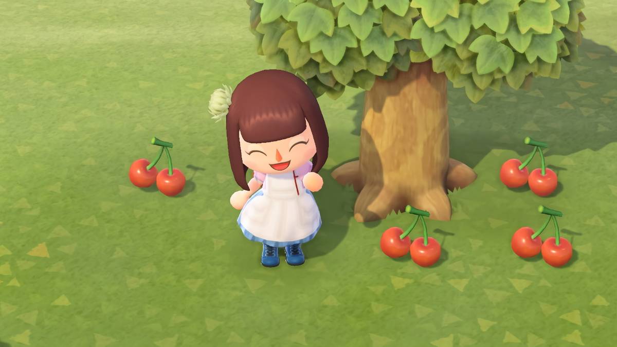 Animal_Crossing_New_Horizons_Cherry_Fruit