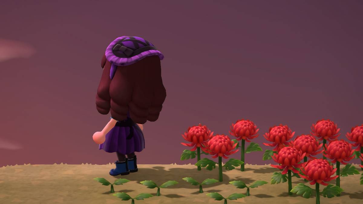 Animal Crossing New Horizons Red Cliff Mums Flowers