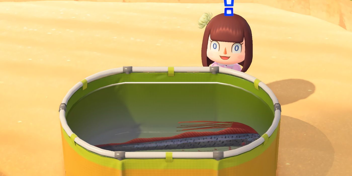 Animal Crossing New Horizons Oarfish Caught Tank