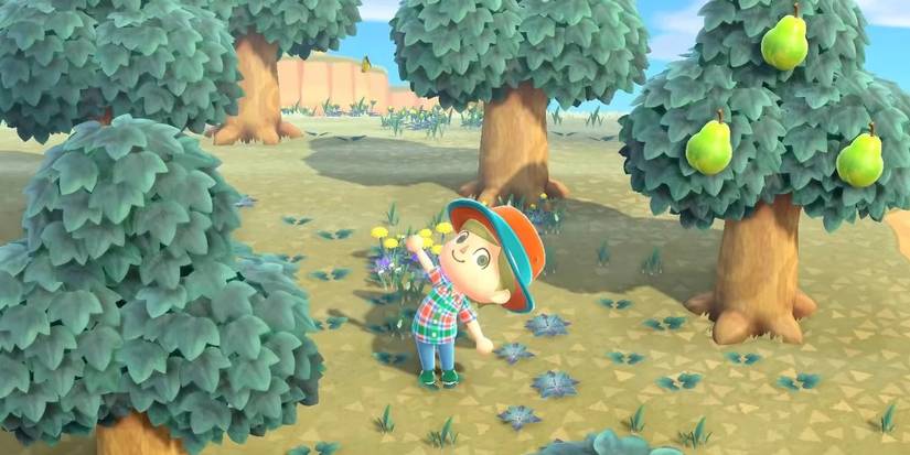 Animal Crossing New Horizons Pear Tree