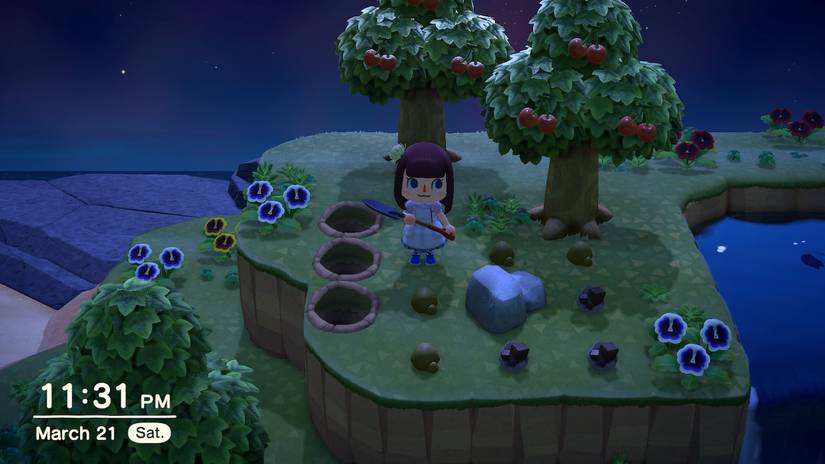 Animal Crossing New Horizons Rock Pattern