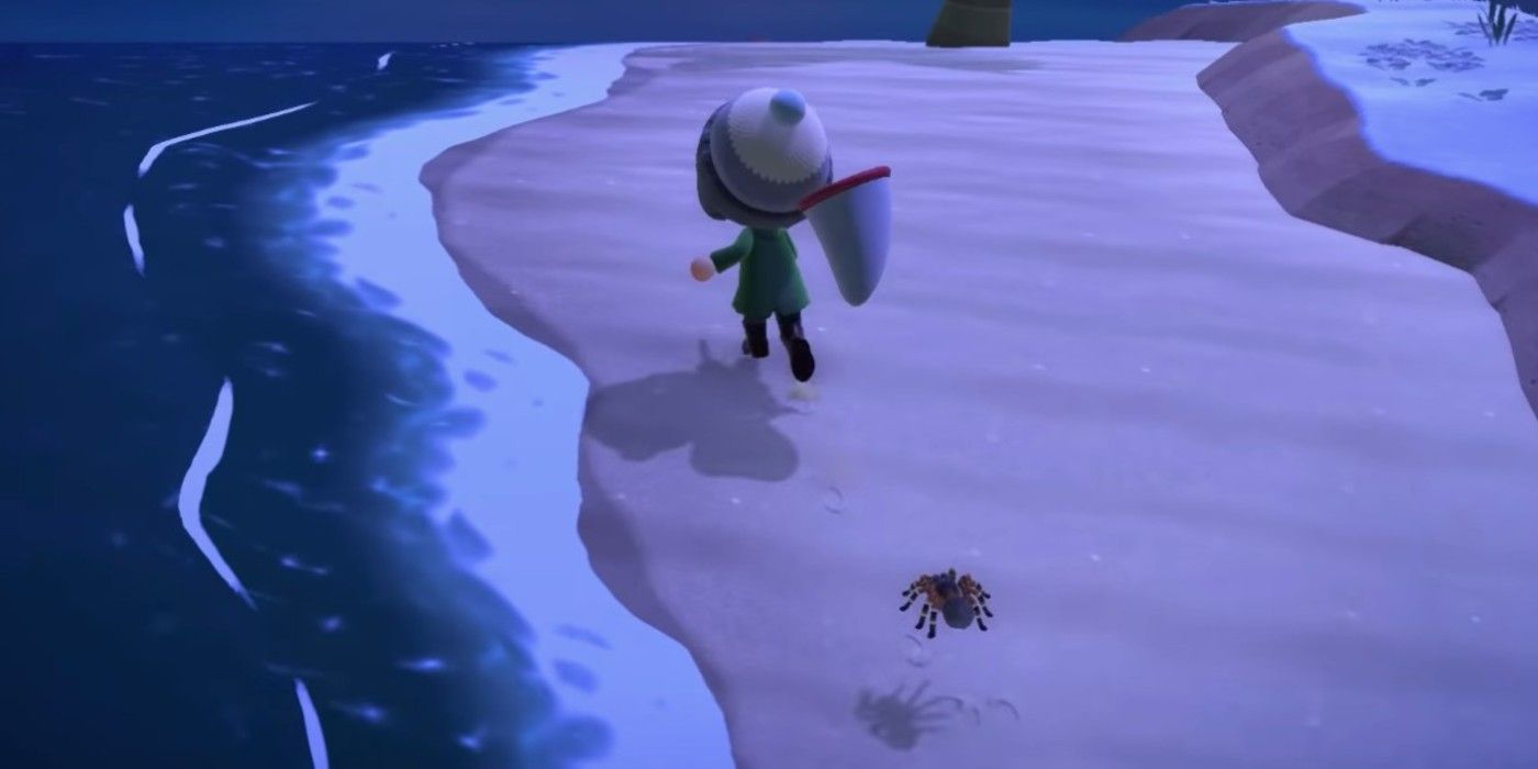 animal crossing new horizons spider chase