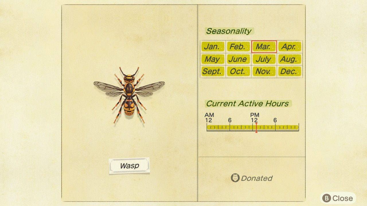 Animal Crossing New Horizons Wasp Encyclopedia