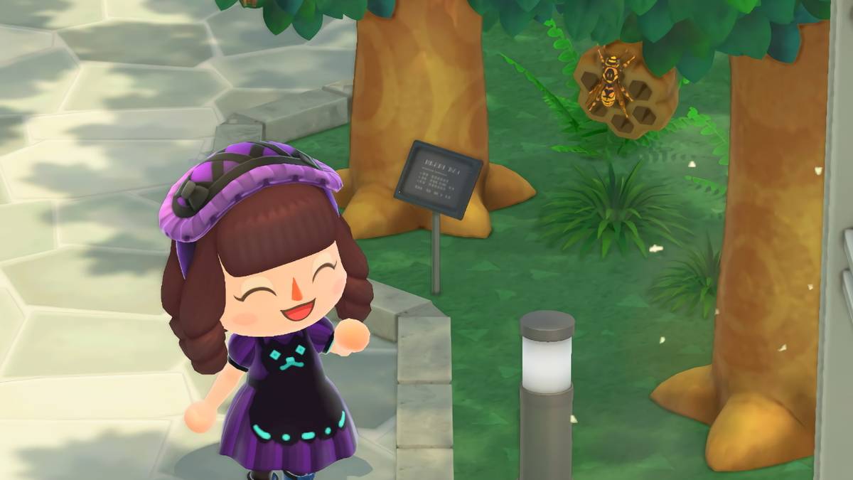 Animal Crossing New Horizons Wasp Museum