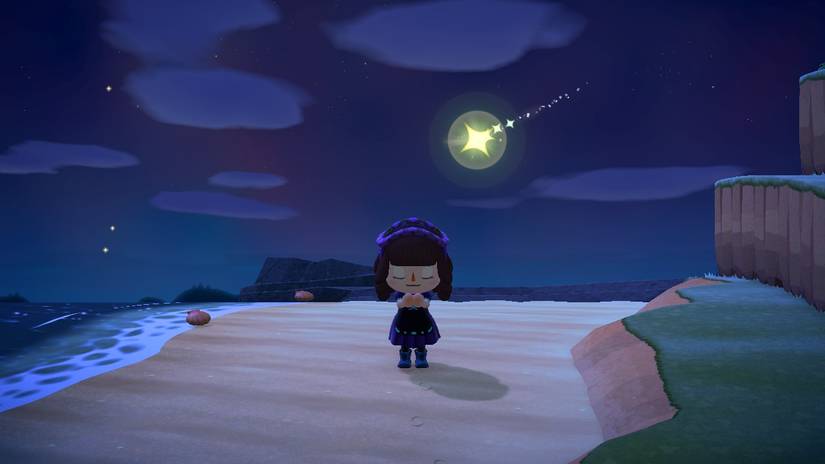 Animal Crossing New Horizons Shooting Star Wish