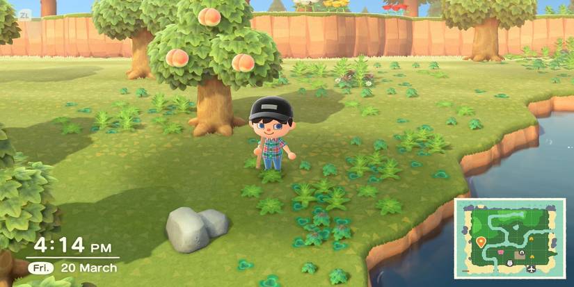 Animal Crossing Peaches