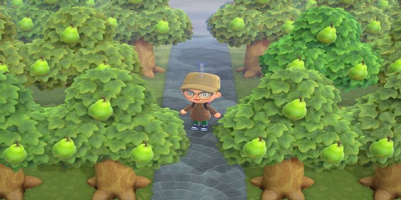 Animal Crossing Pears