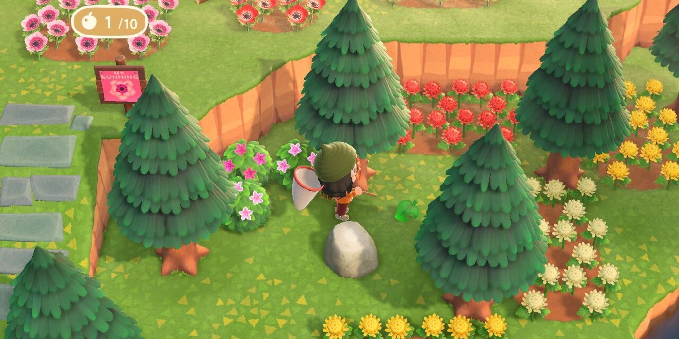 Animal Crossing New Horizons 15 Things To Know Before Redeeming Your