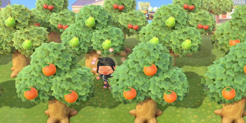 Animal crossing, new horizons, fruit