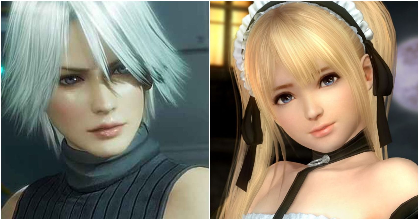 Top 10 Dead or Alive Characters