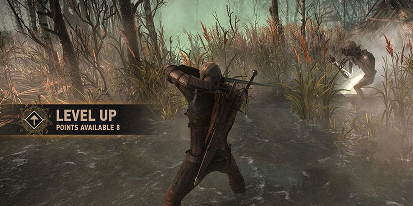 The Witcher 3: Leveling Up While Fighting A Foglet