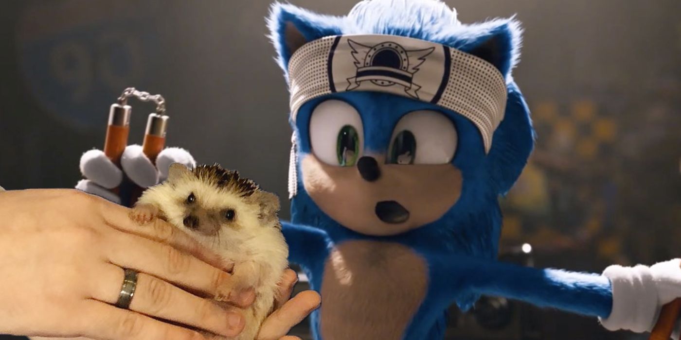 Sonic the Hedgehog has a new fan