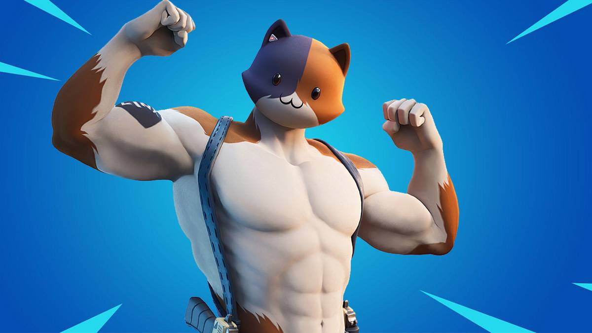 Meowscles fortnite skin closeup epic games