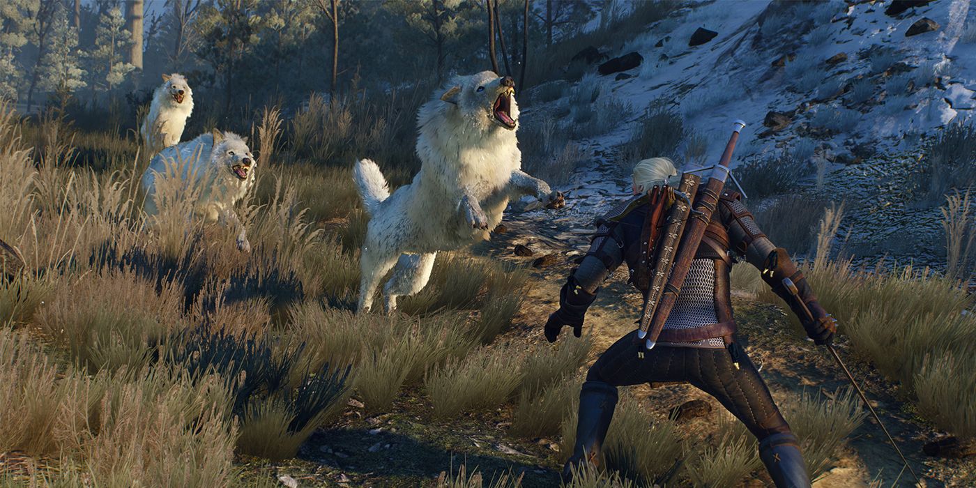 The Witcher 3: Geralt Getting Attacked By Wolves