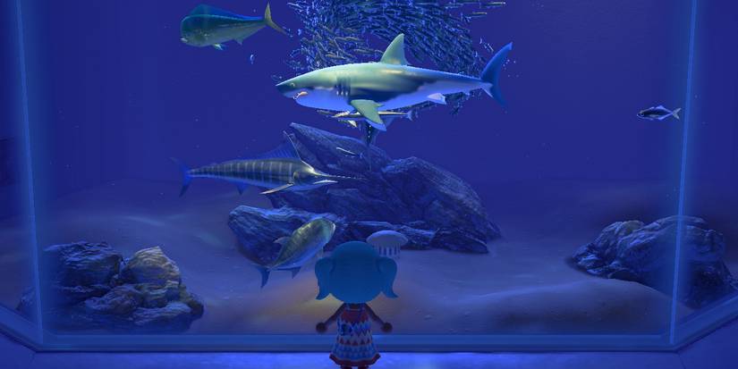 animal crossing new horizons fish march