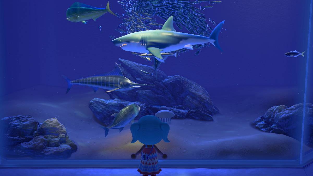 animal crossing new horizons fish march