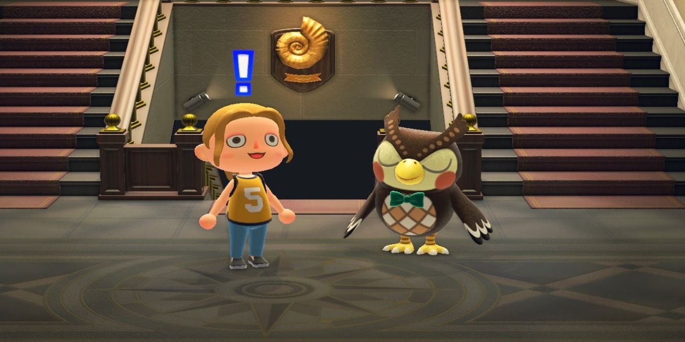 animal crossing new horizons blathers in the museum
