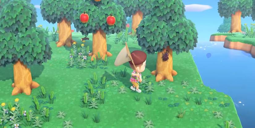animal crossing new horizons trailer screenshot catching a beetle