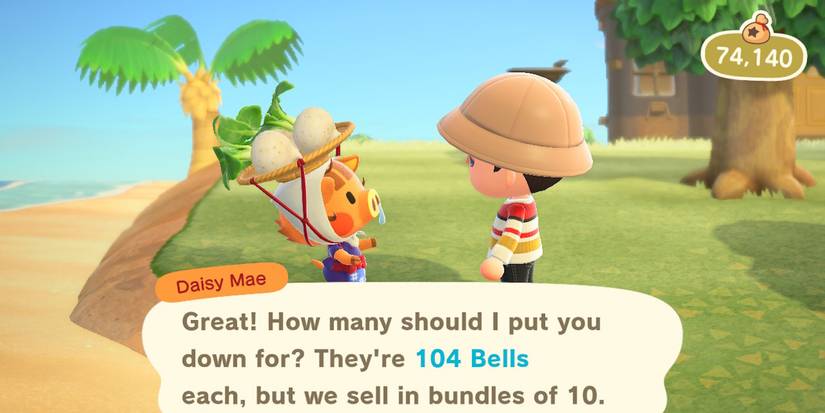 animal crossing new horizions turnip prices