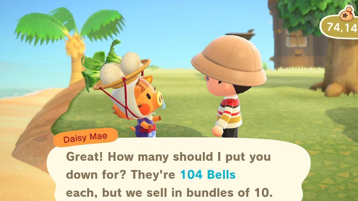 animal crossing new horizions turnip prices