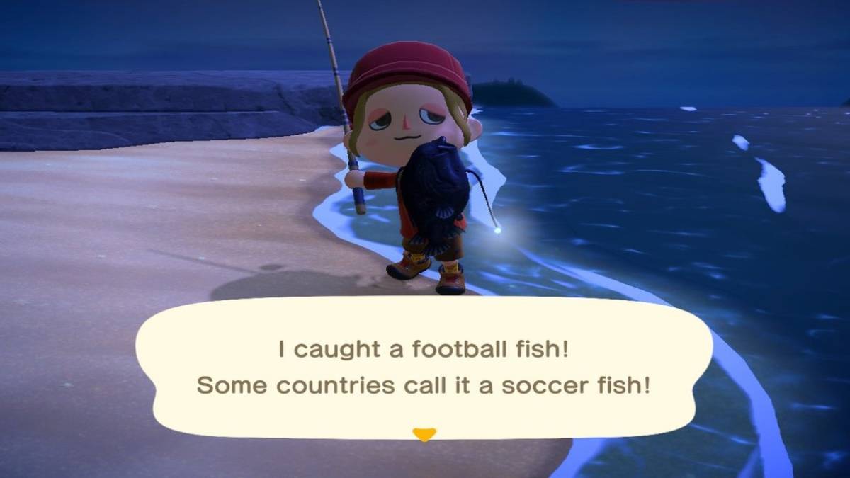 animal crossing new horizons football fish at night