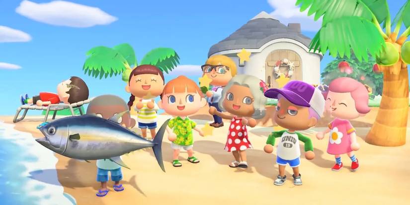 Animal Crossing New Horizons Friends