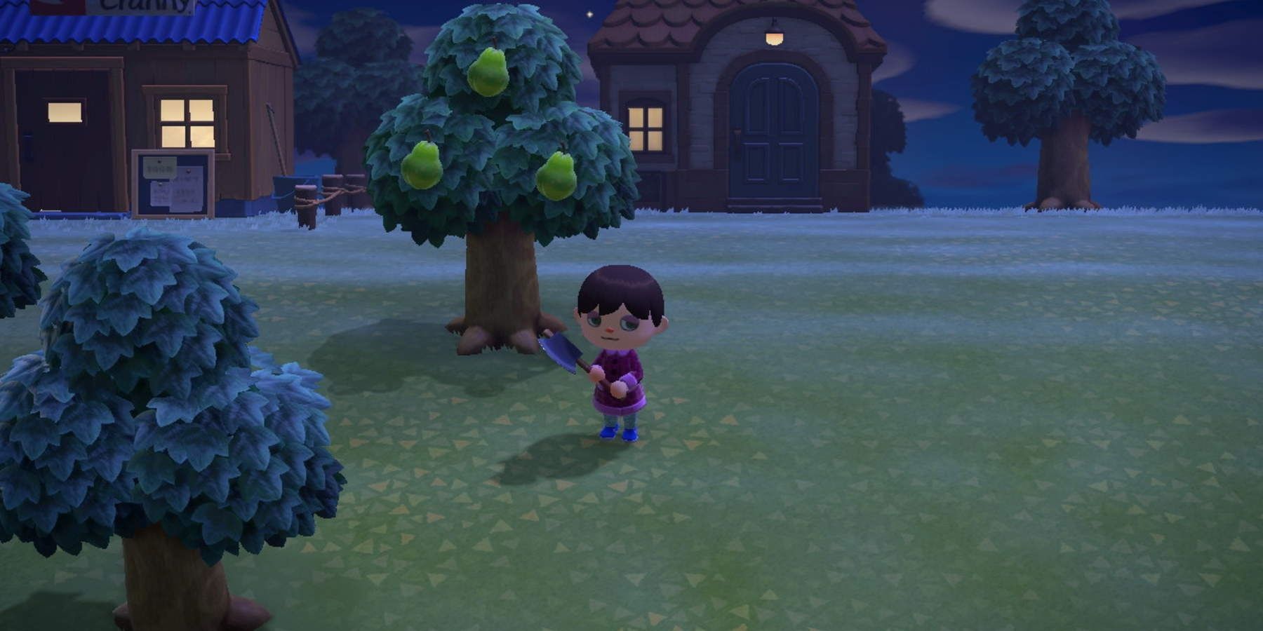 Animal Crossing New Horizons Player holding an axe
