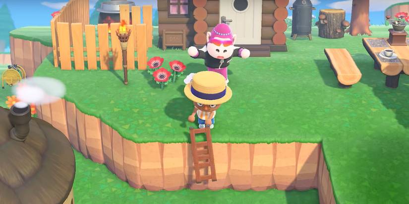 animal crossing new horizons climb cliffs