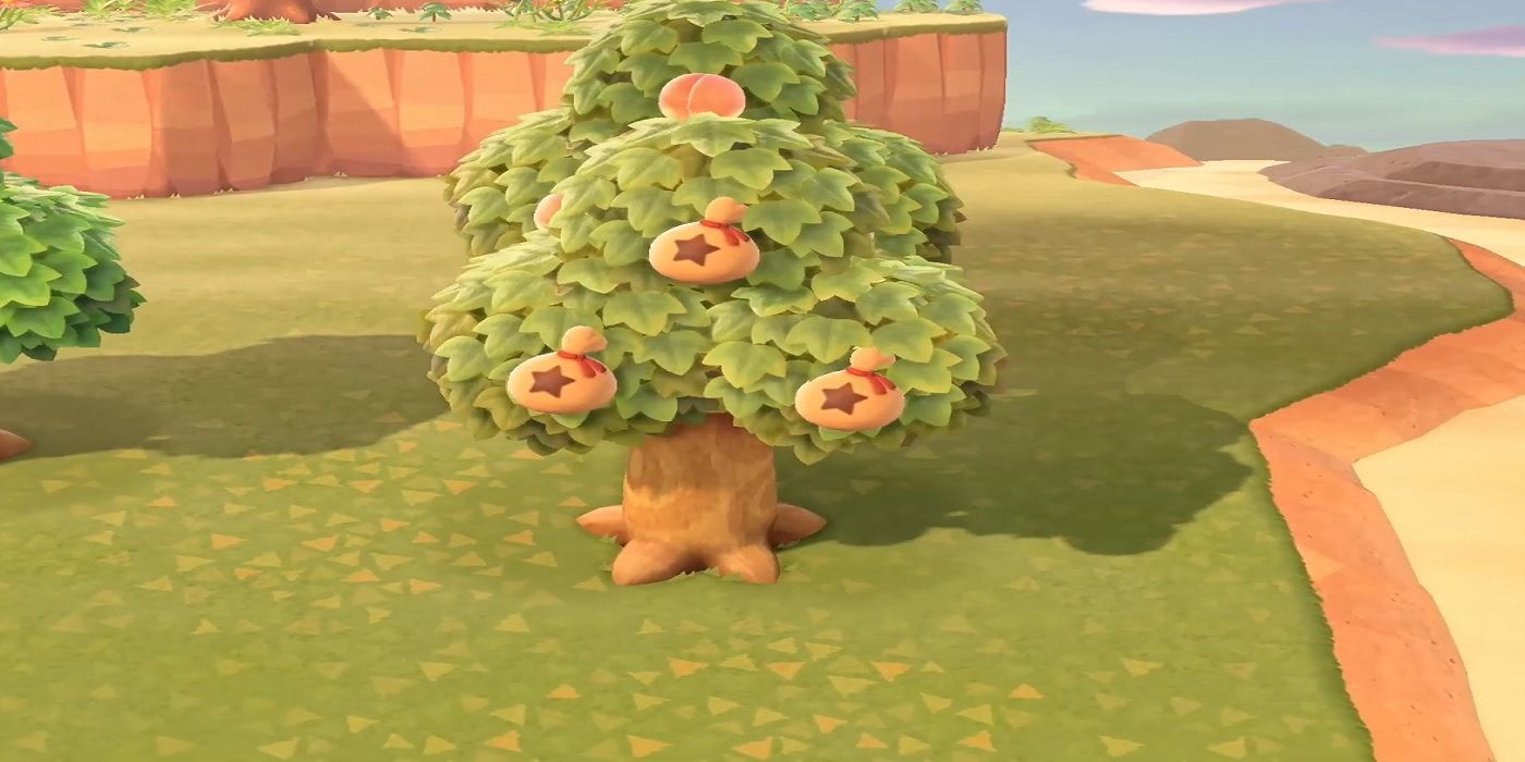 animal crossing new horizons a fully grown money tree