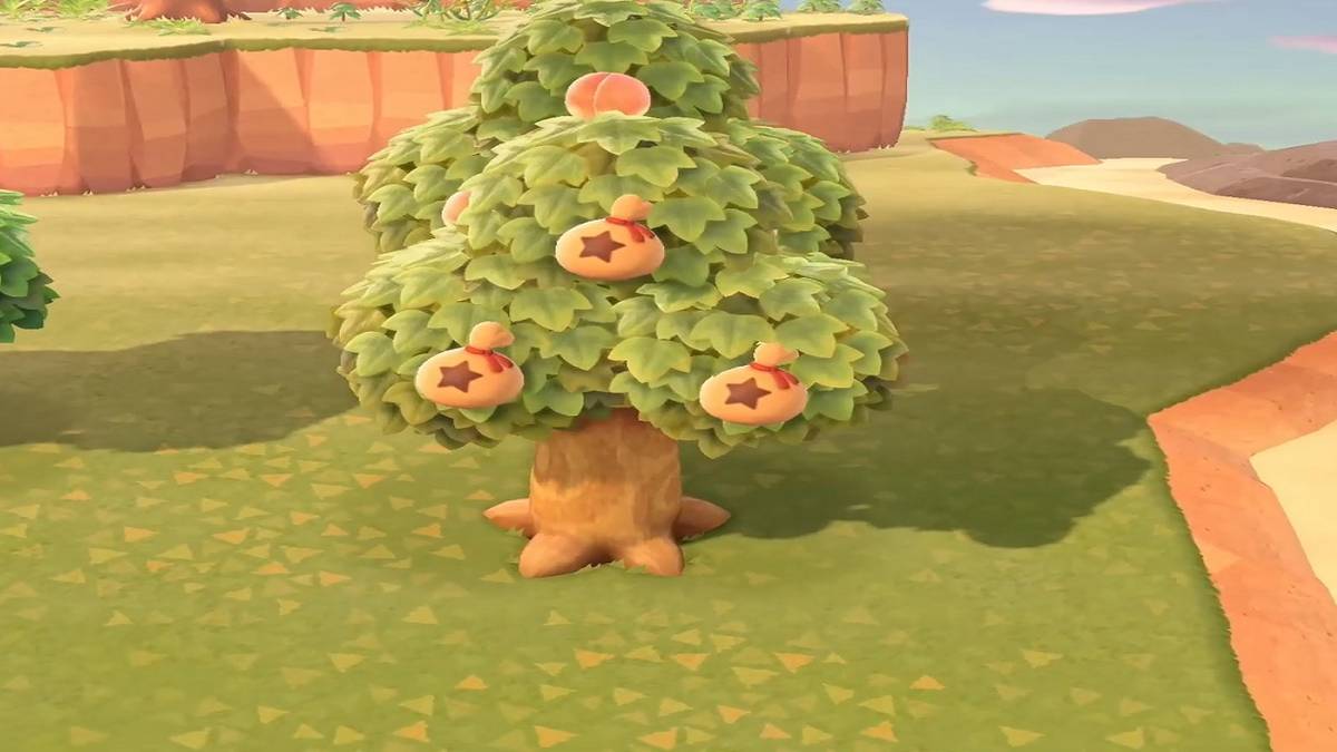animal crossing new horizons a fully grown money tree